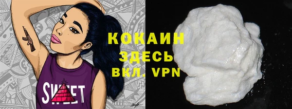 Альфа ПВП Няндома