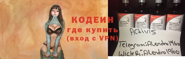 Альфа ПВП Няндома