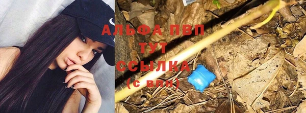 Альфа ПВП Няндома