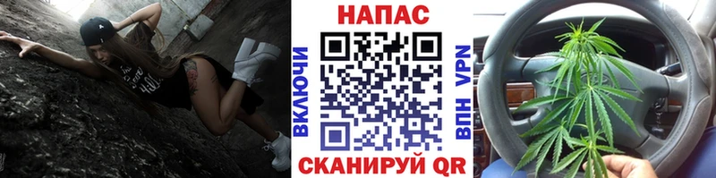 мега как найти Струнино Канабис ГИДРОПОН